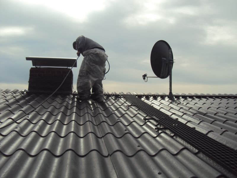 Dachbeschichtung eines Wochenendhauses gedeckt mit Berliner Welle